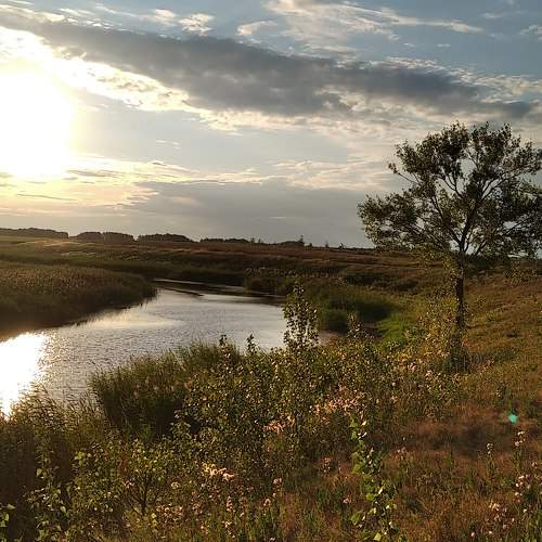 Photo #5737916