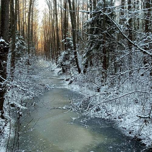 Photo #5738000