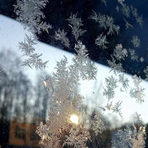 Photo #5738001