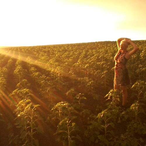 Photo #5738386