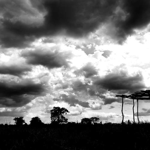 Photo #5738471