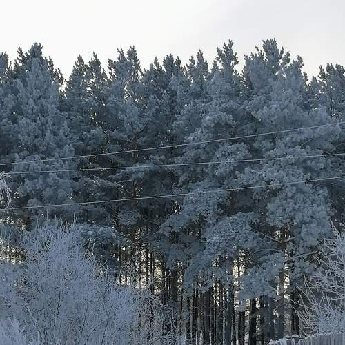 Photo #5738505