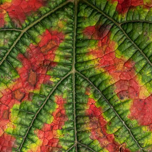Photo #5738533