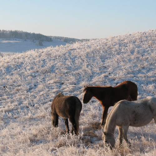 Photo #5738744