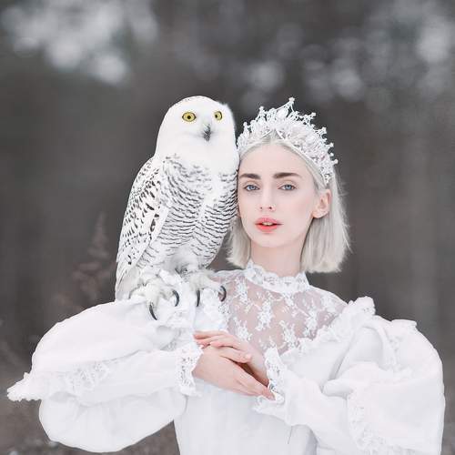 Фотография #5738804