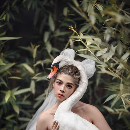 Фотография #5738962