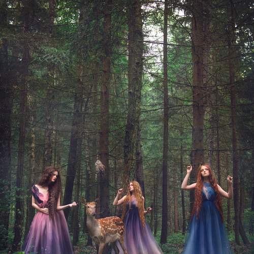 Фотография #5738987