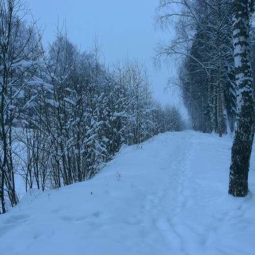 Photo #5739127