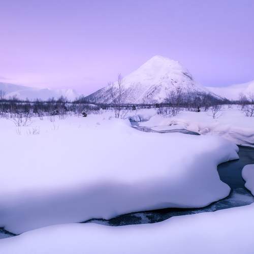 Photo #5739421
