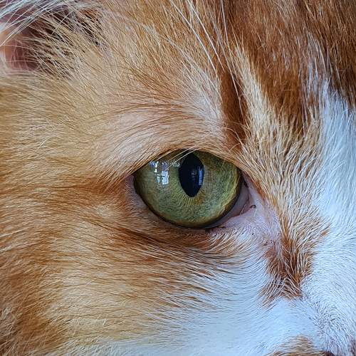 Photo #5739831