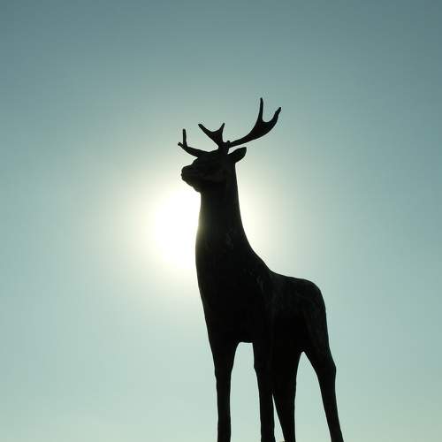 Photo #5739894