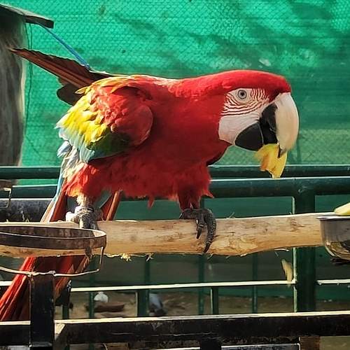 Photo #5739907