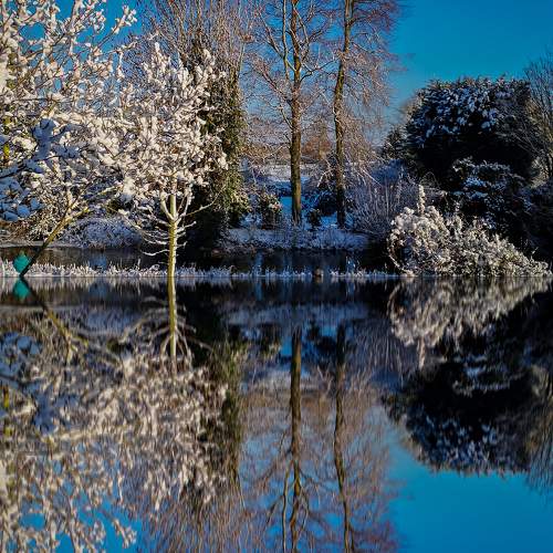 Photo #5739928