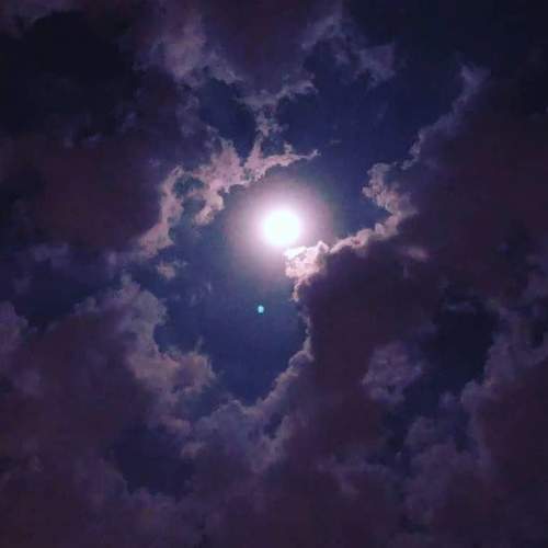 Photo #5739937