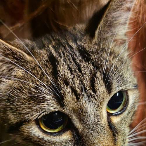 Photo #5739959