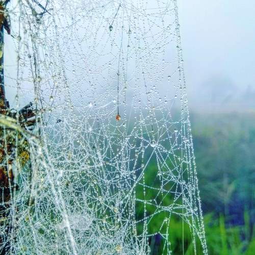 Photo #5740247