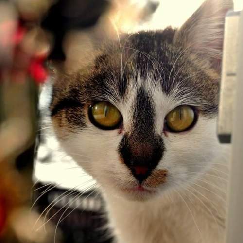 Photo #5740540