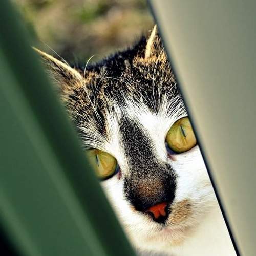 Photo #5740563