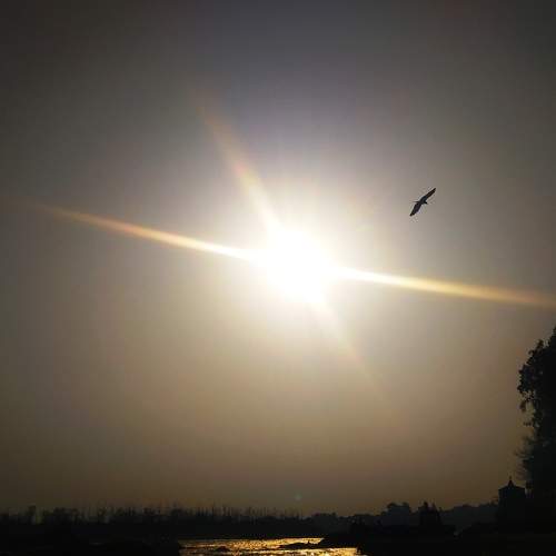 Photo #5740832
