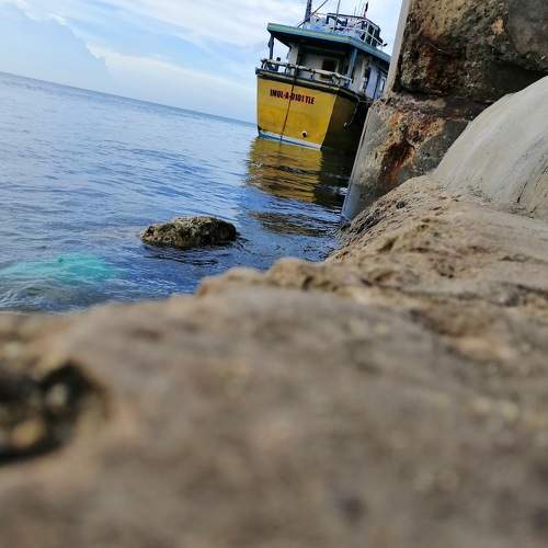 Photo #5741077