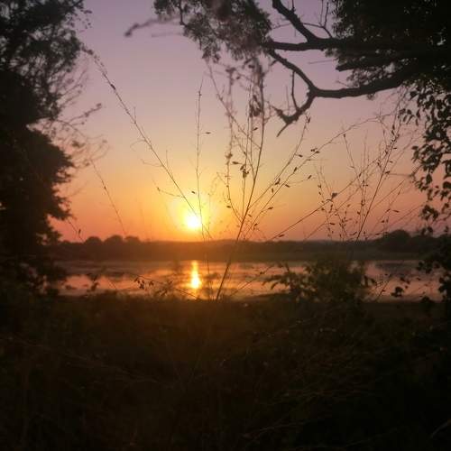 Photo #5741079