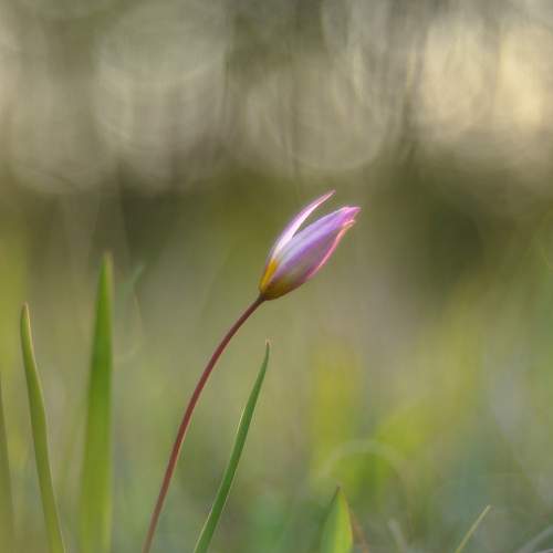 Photo #5741374
