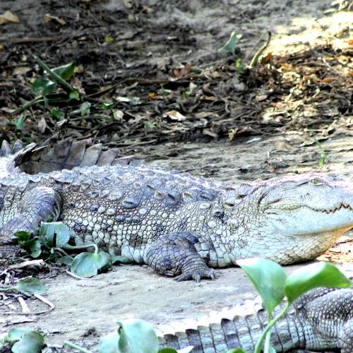 Photo #5741705