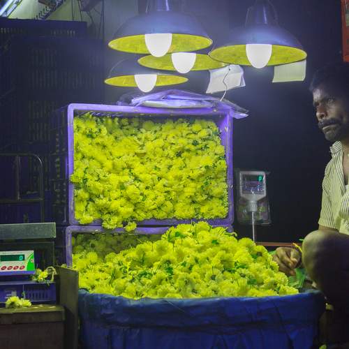 Street flower vendors