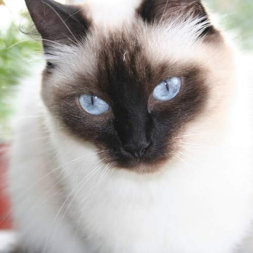 Photo #5741941