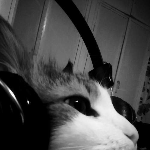 Photo #5742285