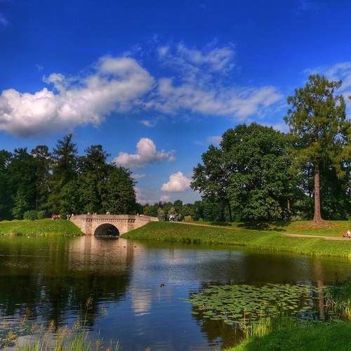 Photo #5742294