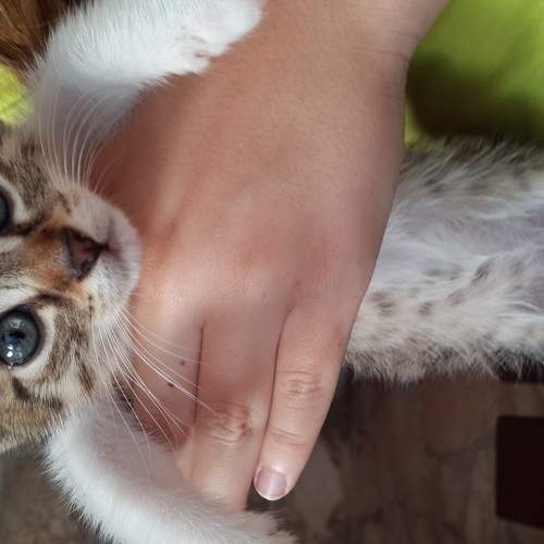 Photo #5742295