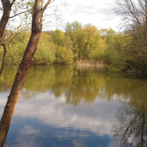 Photo #5742352