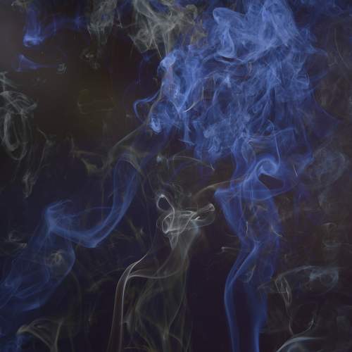 Photo #5742375