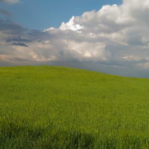 Photo #5742437