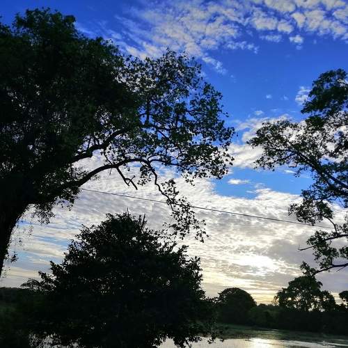 Photo #5742672