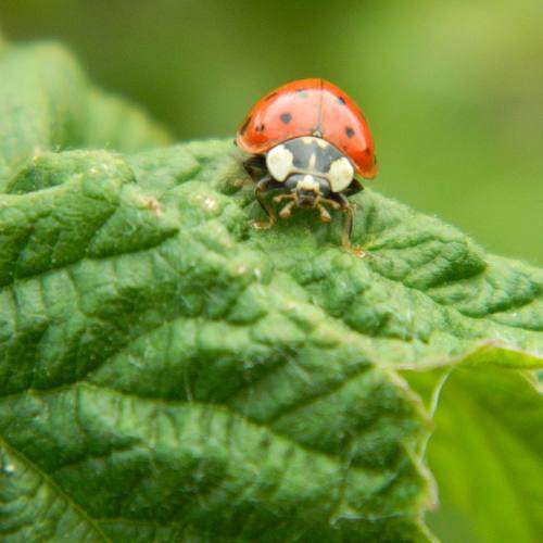Photo #5742763