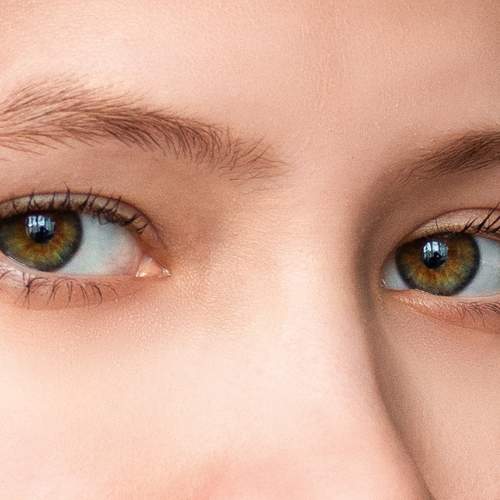 Photo #5742880