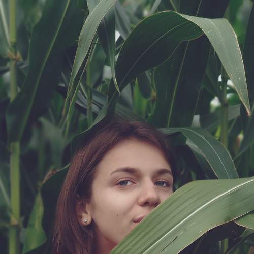 Photo #5743027