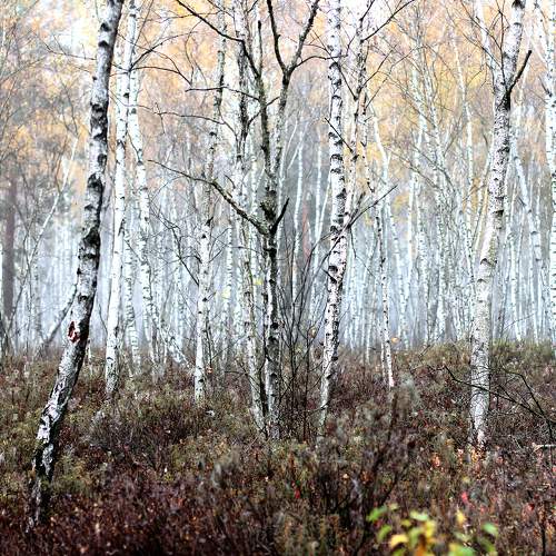 Photo #5743205