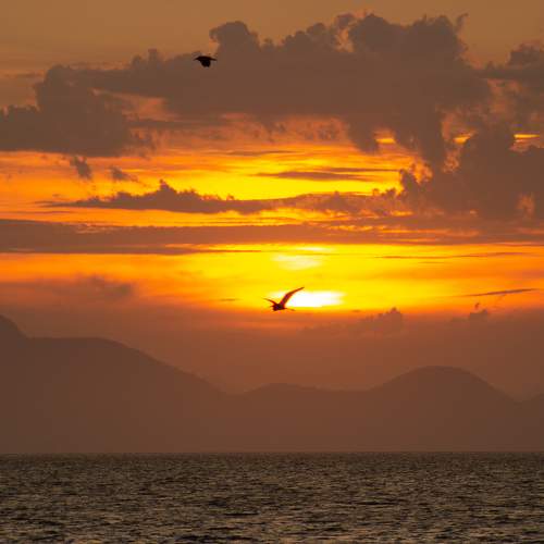 Photo #5743602