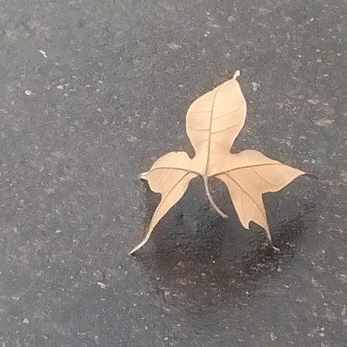 Photo #5743834