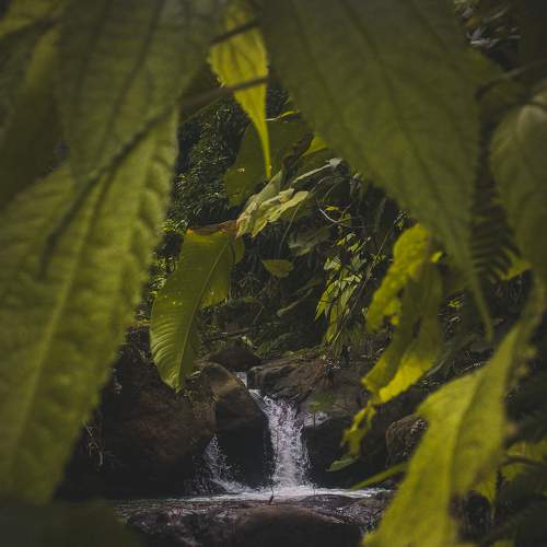 Photo #5744143