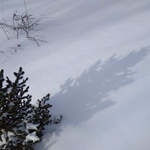 Photo #5744181