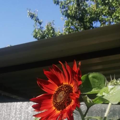 Photo #5744206