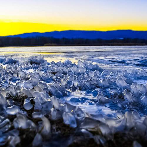 Photo #5744467