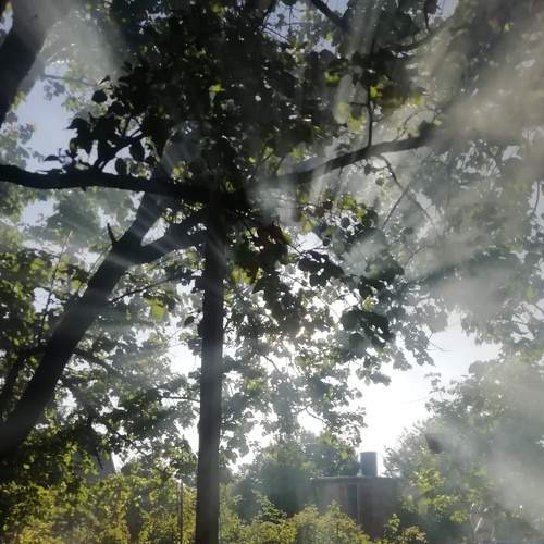 Photo #5744509