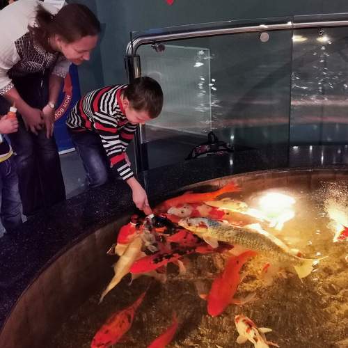 Photo #5745028