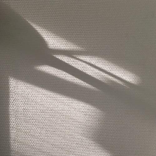 Photo #5745041