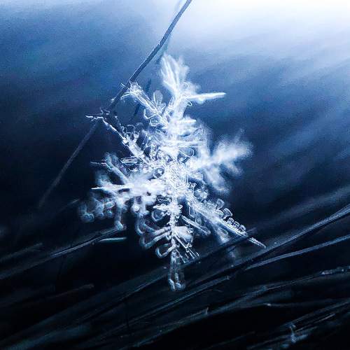 Photo #5745052